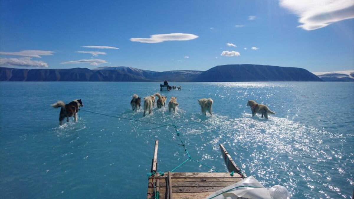 Hielo y agua: una foto que documenta los efectos del deshielo en Groenlandia se volvió viral
