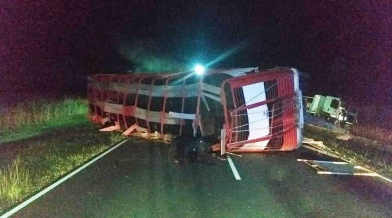 La jaula de animales quedó volcada sobre la ruta (Infopico)