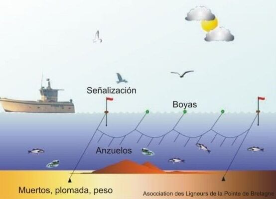 Descripción de la pesca por palangres.