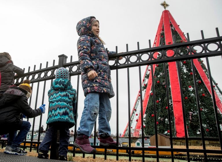 El árbol navideño nacional en Washington, Estados Unidos (AP)