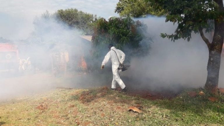 Iguazú en plena fumigación para terminar con el mosquito Aedes aegypti transmisor del dengue:. (Ministerio de Salud)