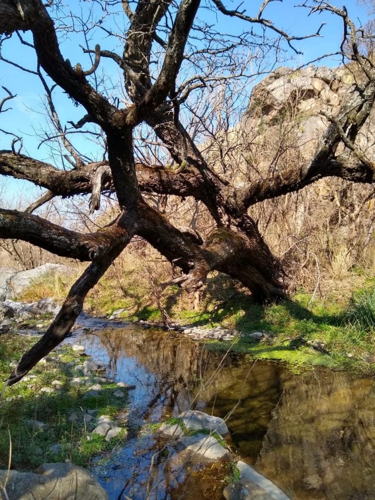 Paisaje arroyo La Angostura