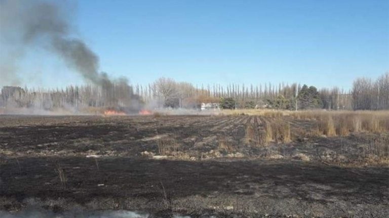 Gentileza Bomberos Voluntarios de Centenario.