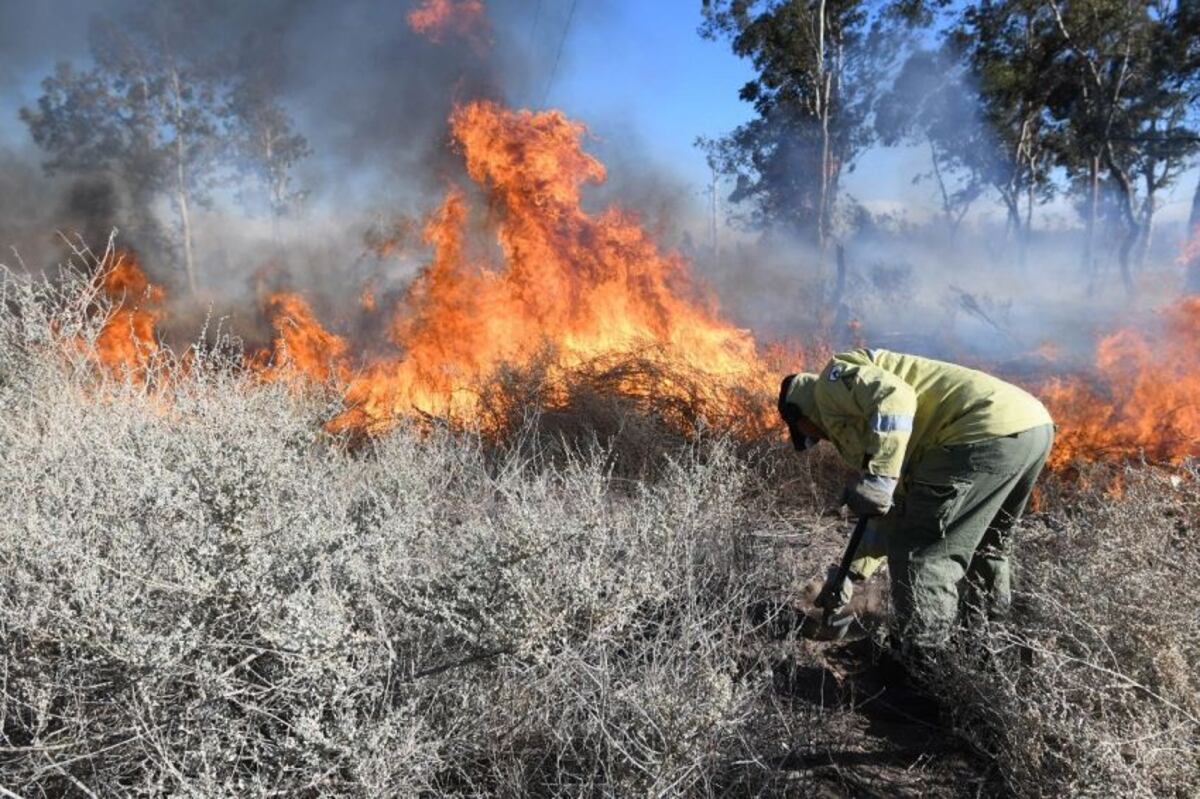 Calor extremo en Mendoza y alerta de máxima peligrosidad por incendios: qué hacer ante un siniestro forestal