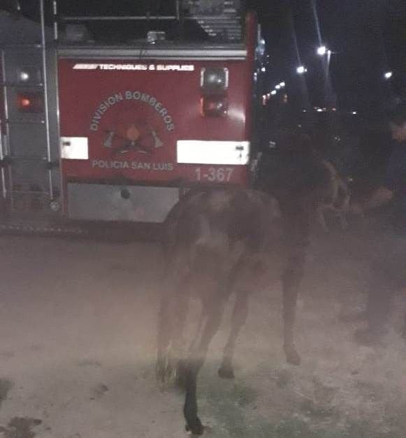 Un grupo de bomberos trabajó dos horas para lograr una salida.