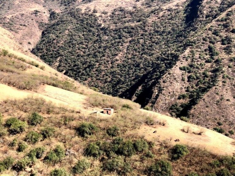 En Tinkunaku familias kollas buscan refugio del coronavirus en los cerros (El Tribuno)