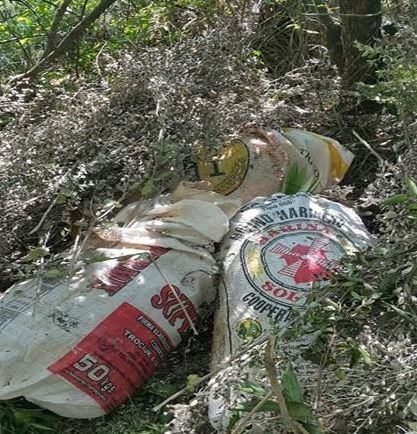 Prefectura incautó más de 60 kilos de marihuana. (Foto: Misiones Online)