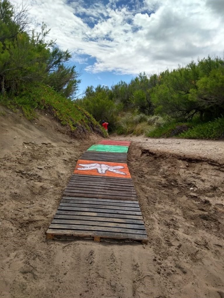 Las mismas tienen dibujos propuestos por niños de talleres municipales de Bahía Blanca