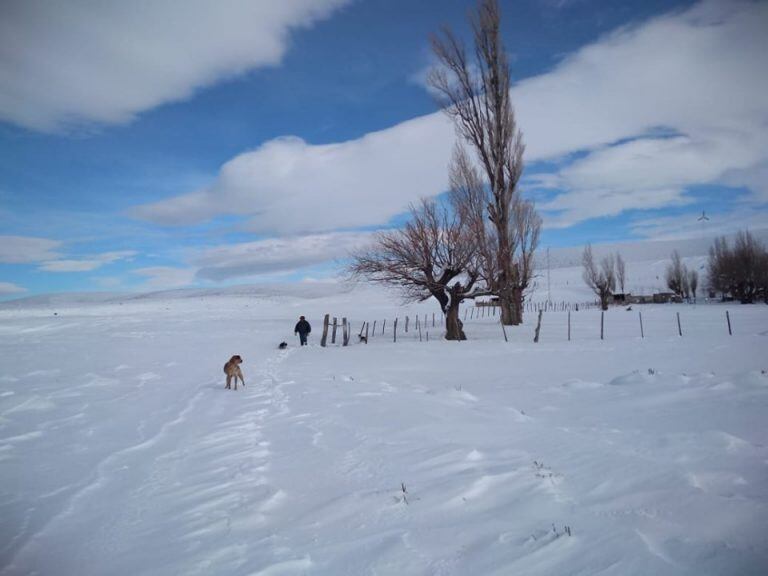 Cushamen invierno 2020