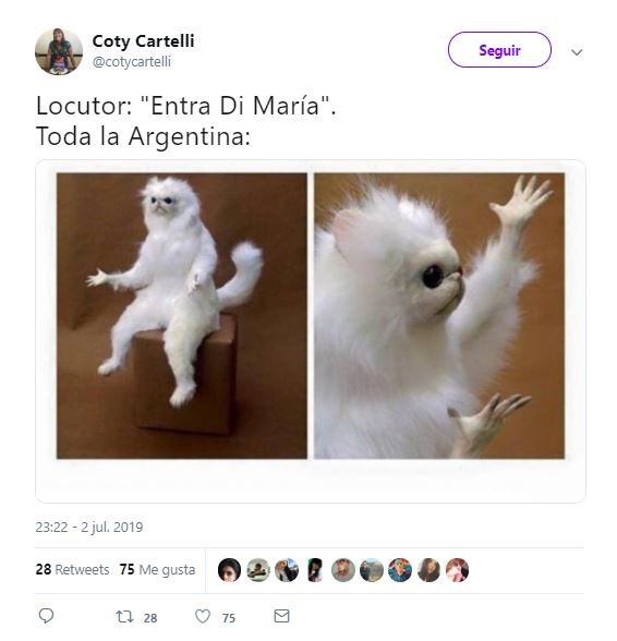 Los mejores memes de la derrota de Argentina ante Brasil (Foto: captura Twitter)