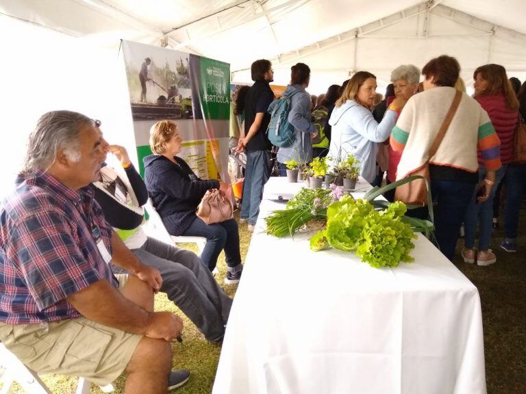 Expo rural Malagueño (Archivo).