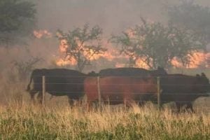 Incendios en La Pampa