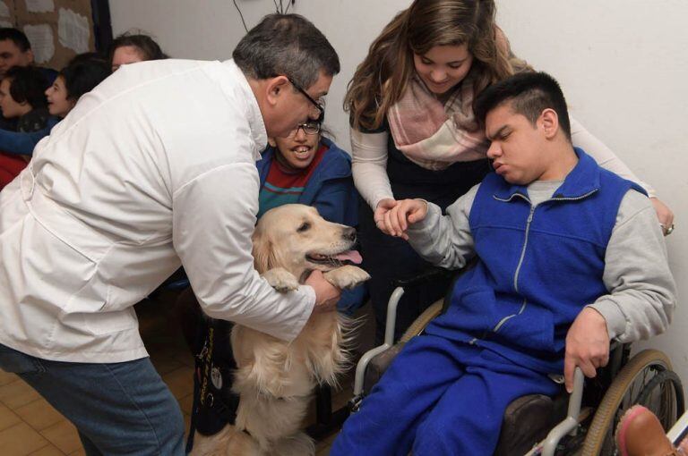 Lola y Zoe, las perritas de la División Canes de la Policía que ayudan en su terapia a chicos con discapacidad. (Prensa Gobierno)