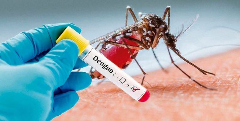 Dengue.