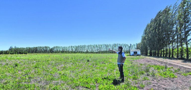 La idea podría concretarse en 2020 (Río Negro).