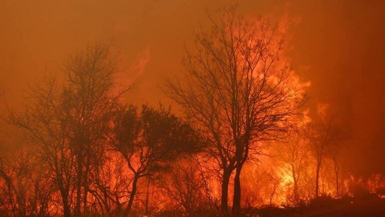 Los incendios azotan desde hace días en Copacabana.