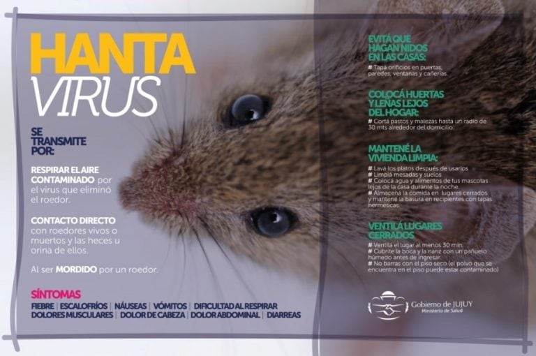 El Ministerio de Salud difundió una infografía sobre el hantavirus.