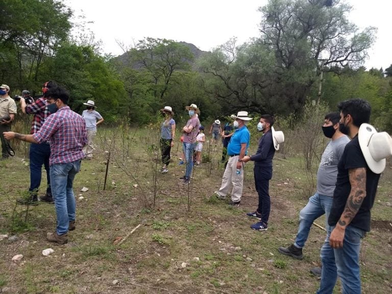 Forestación de 500 árboles de especies nativas en la Reserva Natural de la U.N.C. "Vaquerías". (Foto: Facebook / Municipalidad de Valle Hermoso).