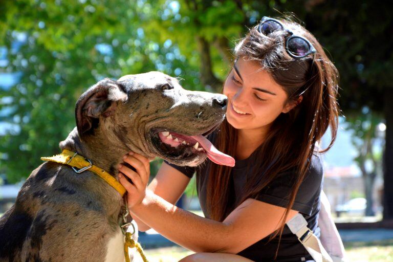 Debemos lavarnos las manos después de tocar a nuestras mascotas. (Foto/Web).