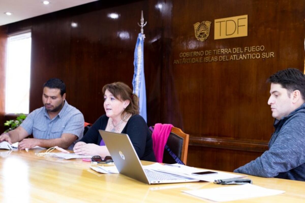 Castillo: "Estamos trabajando para dar la mayor celeridad posible a la reactivación de la actividad"