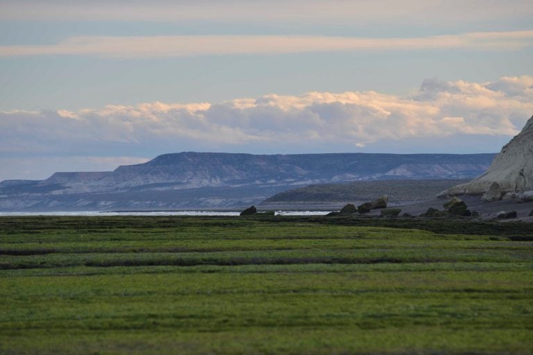 Paisaje patagónico