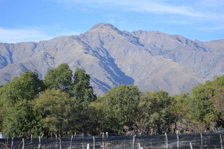 Pietro Sorba en la finca El Tala