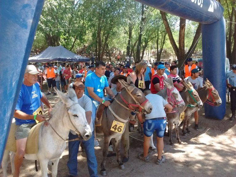 Fue todo un éxito el tradicional Rally de Burros.