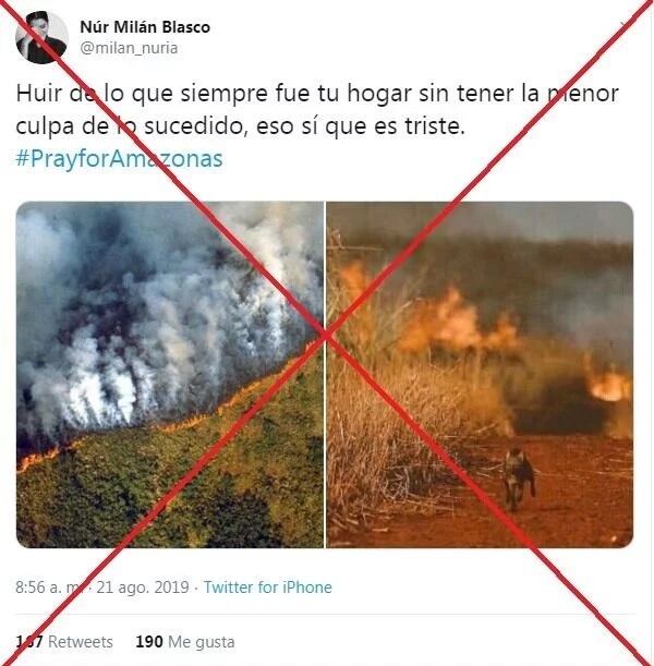 Las fotos falsas del incendio en el Amazonas (Web)