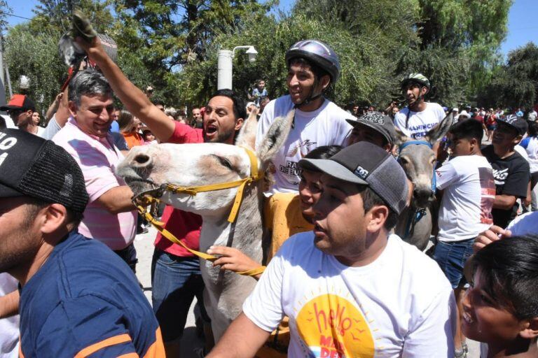 Rally de Burros en Los Molinos