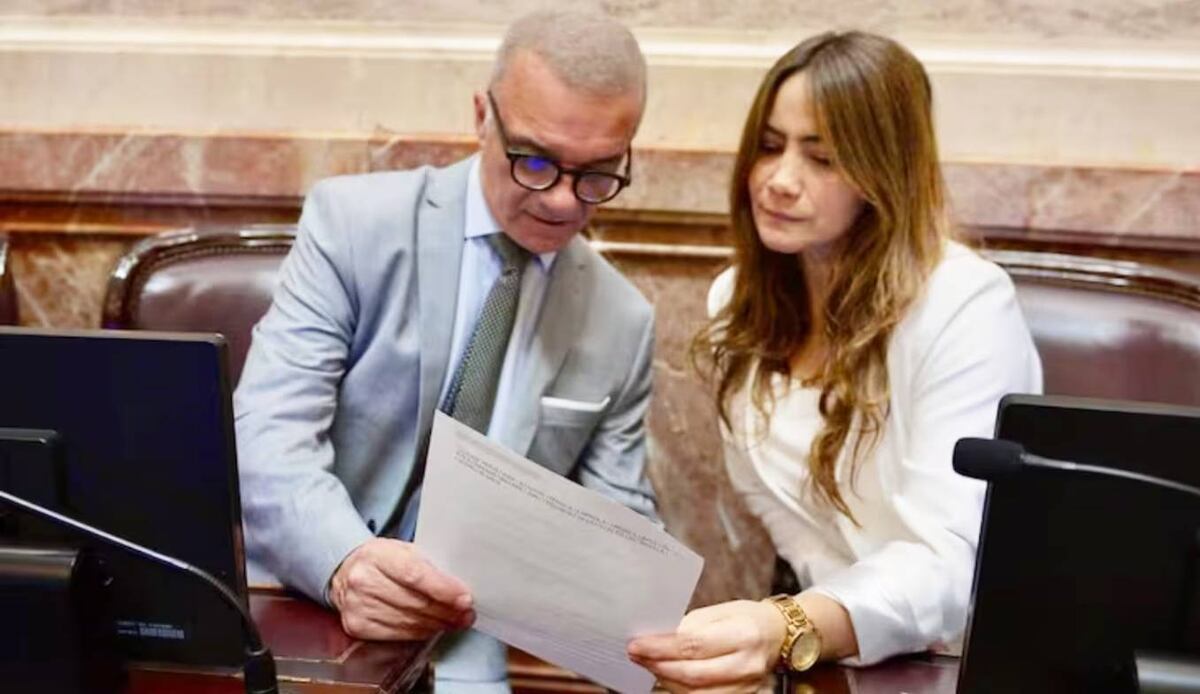 Fuerte repudio de la oposición no K a un acuerdo entre Milei y Rovira para voltear la Ficha Limpia