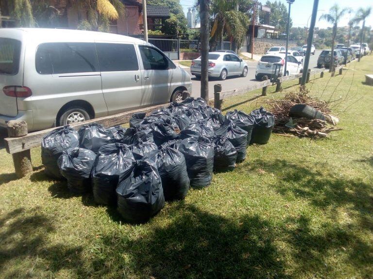 Bolsas negras con resacas mezcladas con cianobacterias.