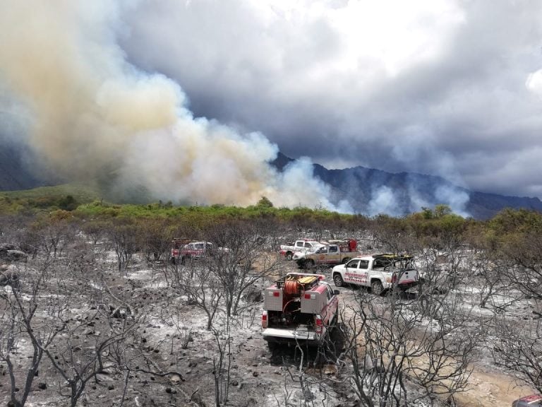 Bomberos de Arroyito luchando contra el fuego