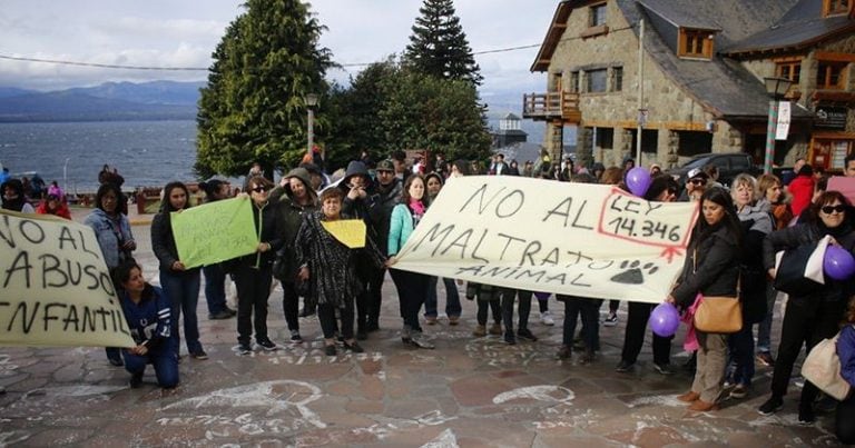 Abuso de perros en Bariloche (Foto: Facundo Pardo, El Cordillerano).