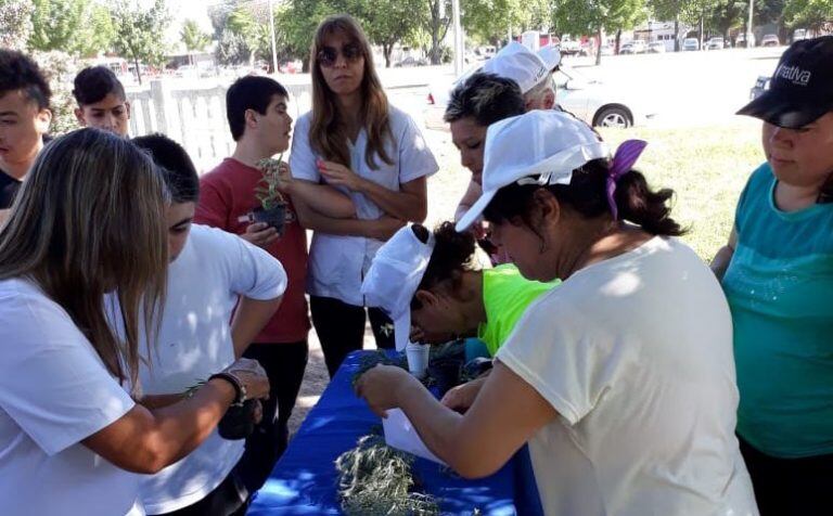 Stand donde confeccionaban plantines (Municipalidad de Santa Rosa)