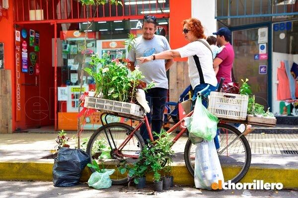 Cabrera: el "plantero" puntano.