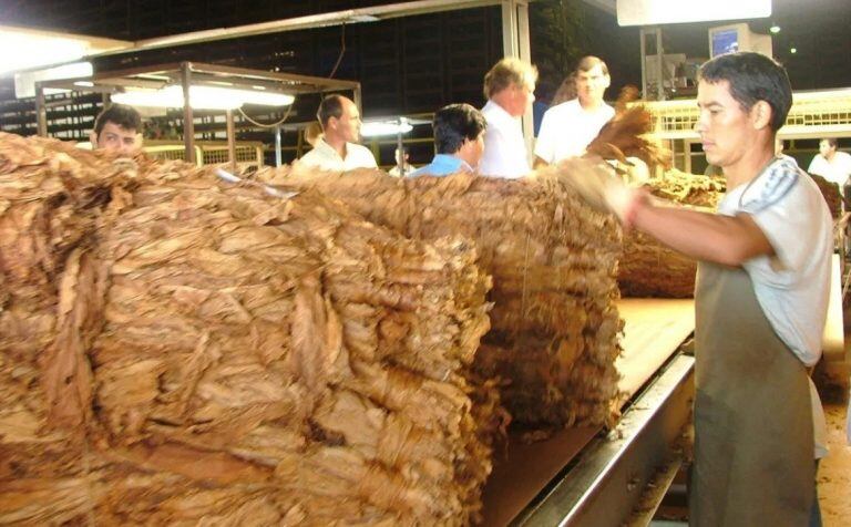 El tabaco ocupó un lugar importante en las exportaciones de Misiones. (Visión Misionera)