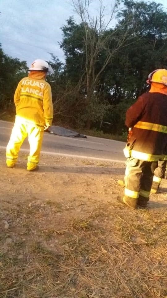 Accidente en Aguas Blancas