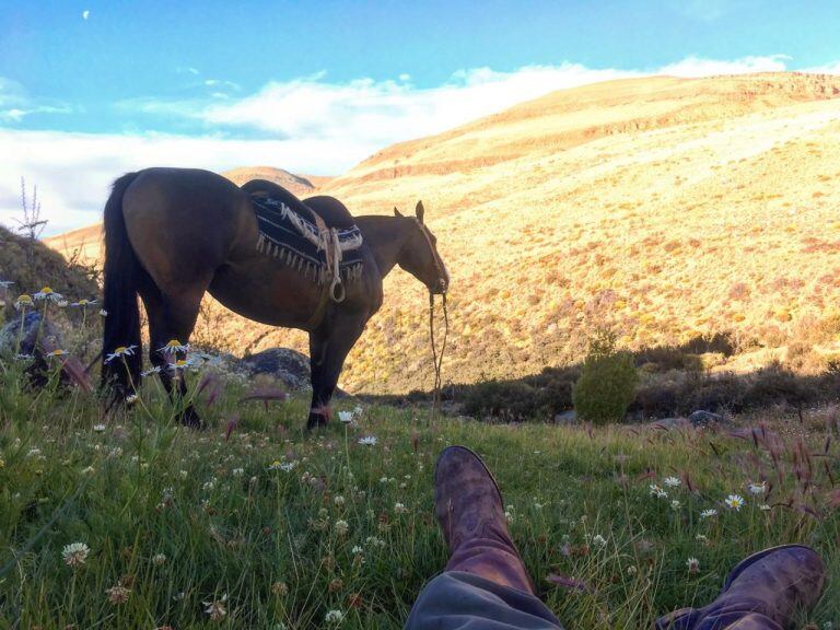 caballo en las sierras.