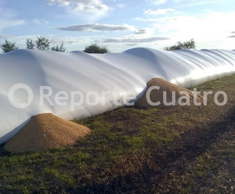 Los vándalos realizaron cortes en el silo bolsa