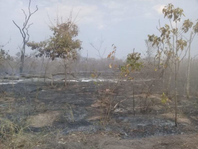 Área de trabajo en la zona de San Rafael de Velasco, donde actúan los bomberos y brigadistas jujeños.