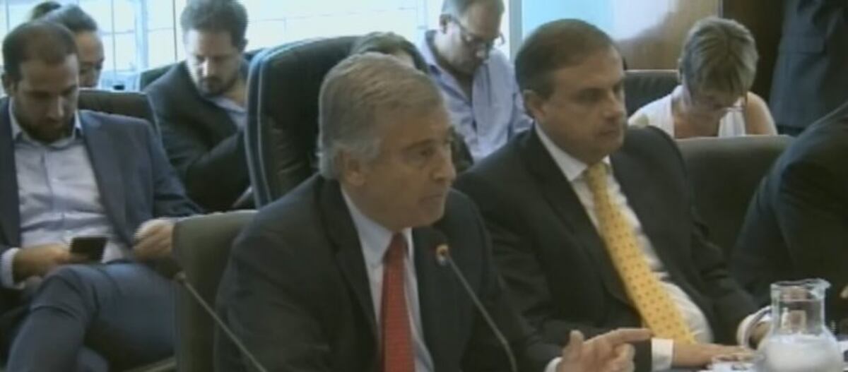 Aguad, en Diputados: "No hay conflicto de intereses porque yo nunca hablé con el Presidente"