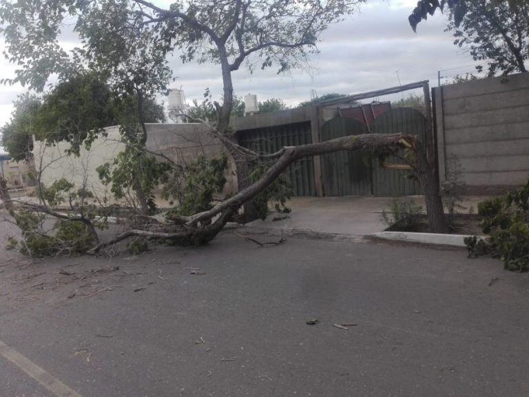 Así amaneció San Juan tras el fuerte viento.