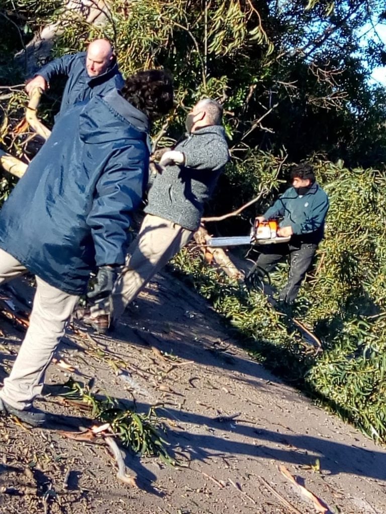 Trabajos de acondicionamiento en Reta