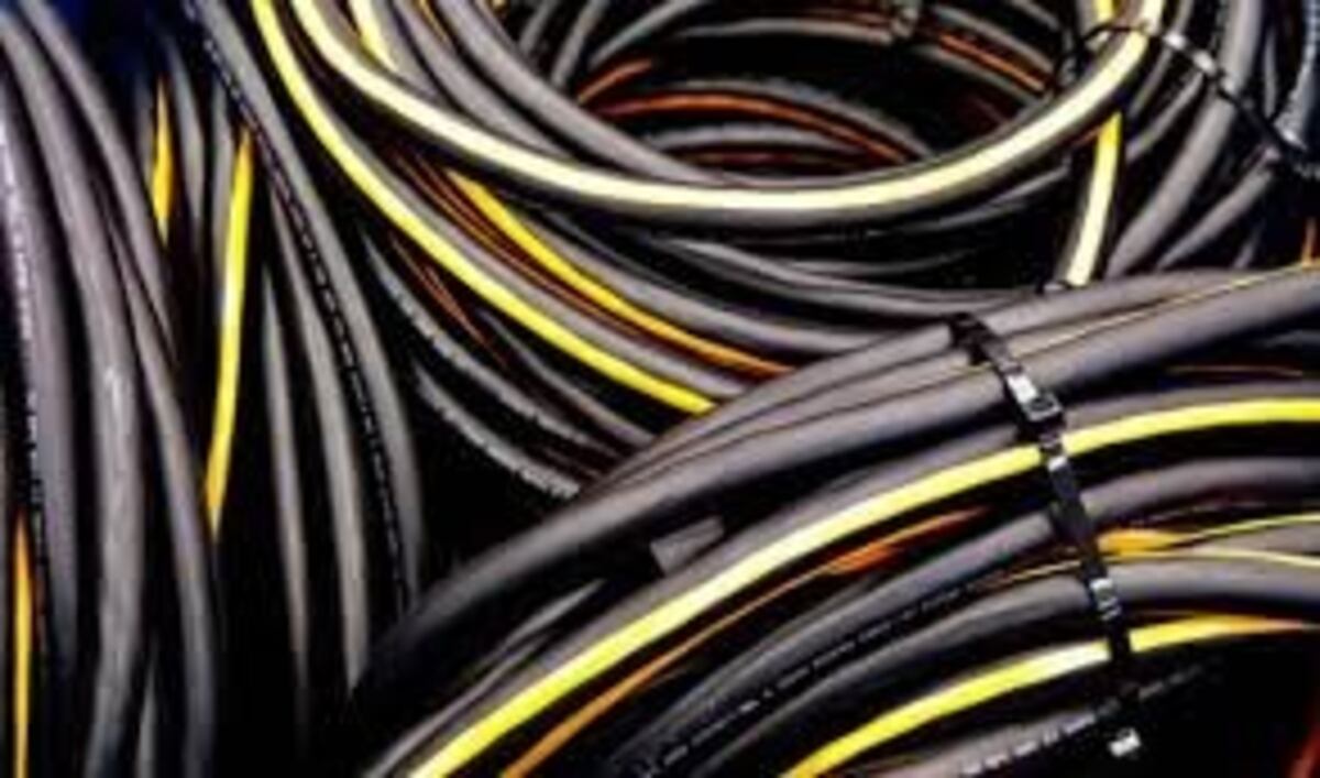 Robaron cables y portátiles nuevos del Parque de Dumesnil