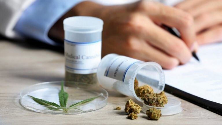 Investigadores platenses analizan los beneficios del aceite de cannabis en perros con epilepsia