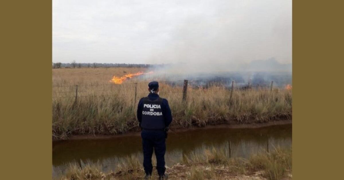 Oliva: otro incendio en un campo