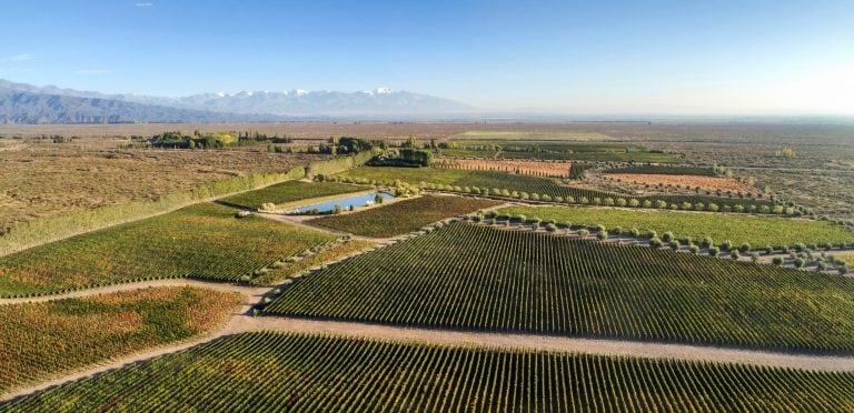 Viñedos de Terrazas de los Andes