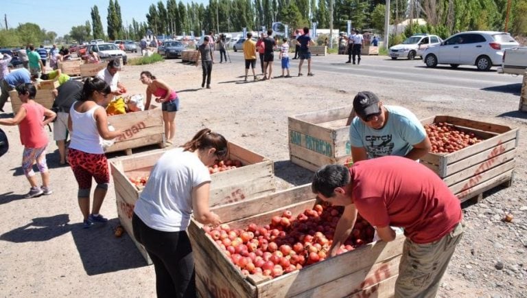 Chacareros regalarán manzanas en Cipolletti. Archivo.