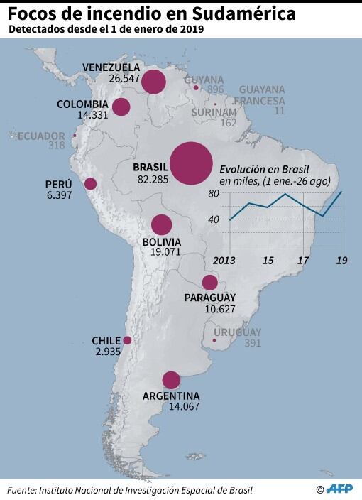 Cantidad de focos de incendio detectados en Sudamérica, por país, desde el 1 de enero de 2019
 - AFP / AFP