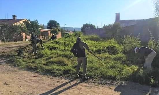 Cuadrillas del municipio combaten al mosquito del dengue en los barrios de San Salvador de Jujuy.